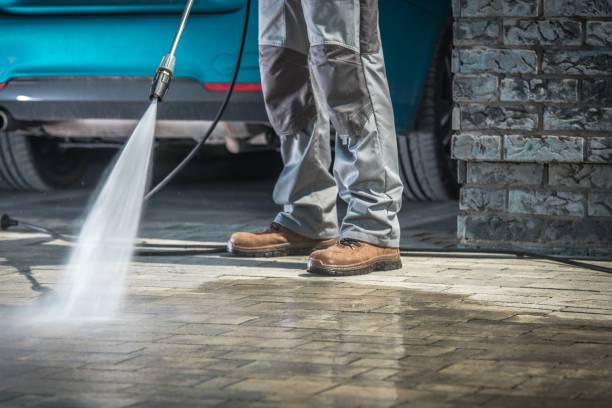Best Roof Washing  in Bayou Vista, LA