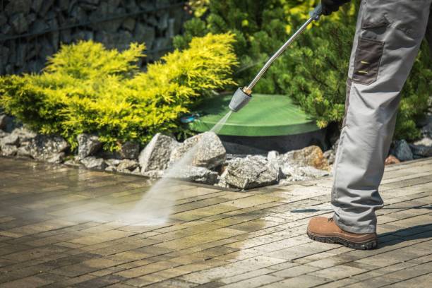 Best Boat and Dock Cleaning  in Bayou Vista, LA