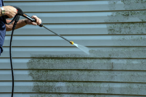 Best Spring Cleaning  in Bayou Vista, LA